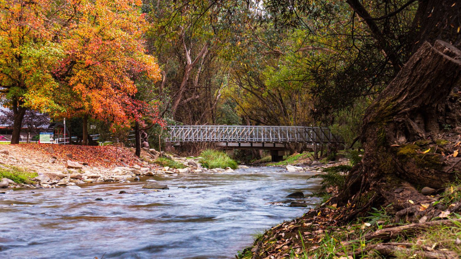 Harrietville bridge & river walks